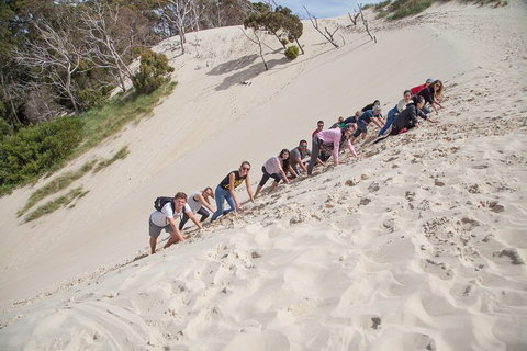 6-Day Tasmanian Explorer Adventure Tour From Hobart - Rental Cars 2