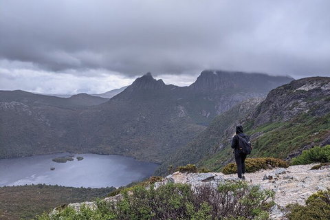 5-Day Best Of Tasmania Tour From Hobart - Rental Cars 3