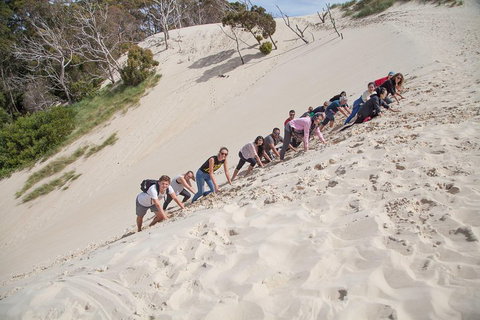 3 Day Tasmanian Wild West Coast Tour From Hobart To Launceston - Rental Cars 2