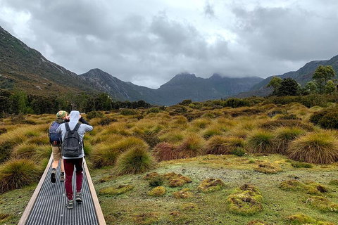 3 Day Tasmanian Wild West Coast Tour From Hobart To Launceston - Rental Cars 3