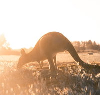 Small Group Mornington Peninsula Hike and Hot Springs Day Tour from Melbourne - Rental Cars
