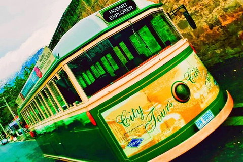 Hobart Half-Day Sightseeing Coach Tram Tour - Rental Cars 5