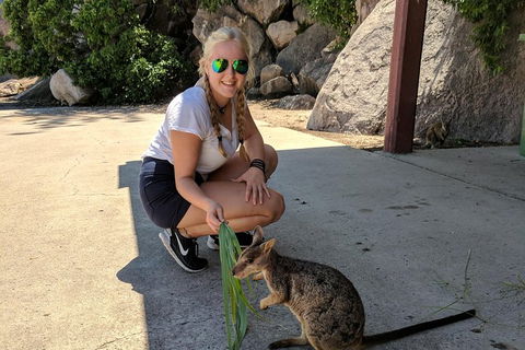 Magnetic Island Tour: Maggie Comprehensive - Rental Cars 2