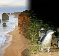 Melbourne Super Saver Great Ocean Road  Phillip Island  Attraction Pass - Rental Cars
