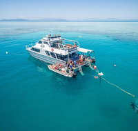 Ocean Freedom Great Barrier Reef Personal Luxury Snorkel  Dive Cruise Cairns - Rental Cars