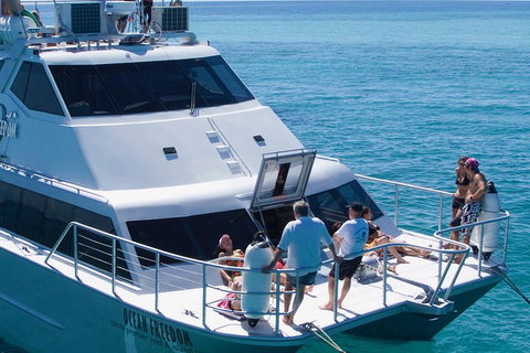 Ocean Freedom Great Barrier Reef Personal Luxury Snorkel & Dive Cruise, Cairns - Rental Cars 1