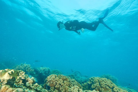 Ocean Freedom Great Barrier Reef Personal Luxury Snorkel & Dive Cruise, Cairns - Rental Cars 5