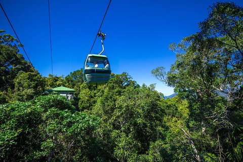 Classic Kuranda By Skyrail And Scenic Railway Including Rainforestation, Koala And Wildlife Park And Pamagirri Aboriginal Experi - Rental Cars 0