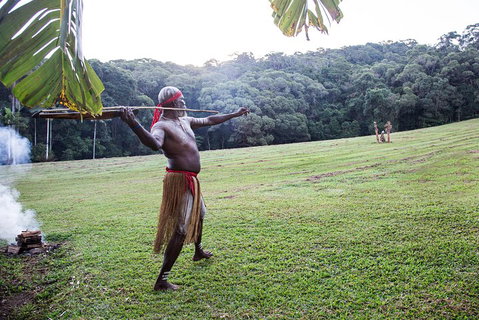 Classic Kuranda By Skyrail And Scenic Railway Including Rainforestation, Koala And Wildlife Park And Pamagirri Aboriginal Experi - Rental Cars 5