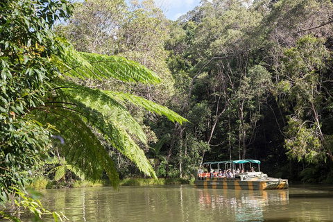 Best Of Kuranda Including Skyrail, Kuranda Scenic Railway And Rainforestation - Rental Cars 5