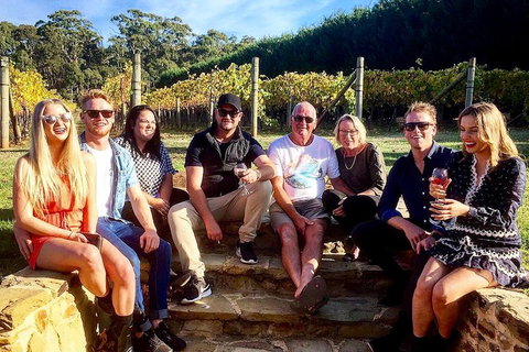 Daylesford Wine Tours: Wine, Cider, Gin, Vodka, Port, Food & Sights Tours! - Rental Cars 5