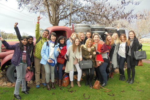 1/2 Day Swan Valley Wine Cheese & Chocolate Tour Inc Afternoon Cruise To Perth - Rental Cars 5