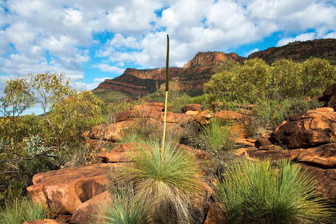 6-Day Eyre Peninsula & Flinders Ranges Adventure Tour - Rental Cars 1