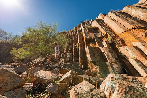 6-Day Eyre Peninsula & Flinders Ranges Adventure Tour - Rental Cars 4