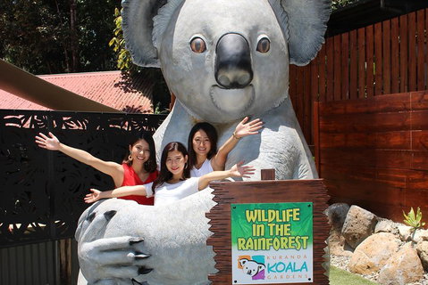Kuranda Koala Gardens And Birdworld Admission Tickets - Rental Cars 3