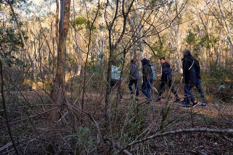 Wild Australian Wildlife 4WD Tour From Sydney - Rental Cars 0