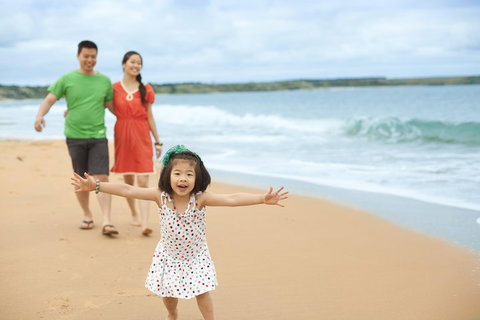 Phillip Island Penguin Parade Day Trip With Koala Conservation Reserve Visit - Rental Cars 5