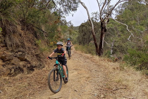 Mount Lofty Descent Bike Tour From Adelaide - Rental Cars 0
