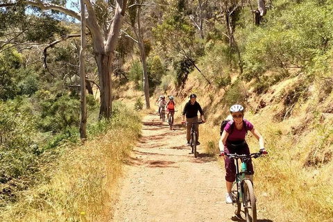 Mount Lofty Descent Bike Tour From Adelaide - Rental Cars 3