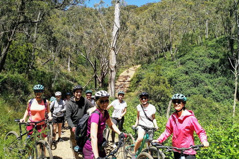 Mount Lofty Descent Bike Tour From Adelaide - Rental Cars 5