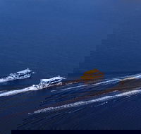 Moorilla Wine Meets Mona Art Day Trip - Rental Cars