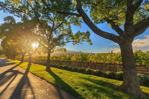 Very Best Of Perth Tour - Wildlife Park & City Highlights Tour - Rental Cars 2