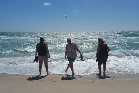 Very Best Of Perth Tour - Wildlife Park & City Highlights Tour - Rental Cars 5