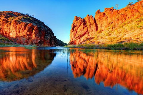 West MacDonnell Ranges Day Trip From Alice Springs - Rental Cars 2