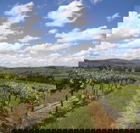 Hunter Valley Wine Tour from Sydney incl Lunch Cheese Chocolate and Distillery - Rental Cars