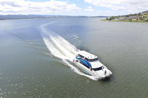 2.5 Hour Morning Discovery Cruise Including Sailing Into The Cataract Gorge - Rental Cars 2