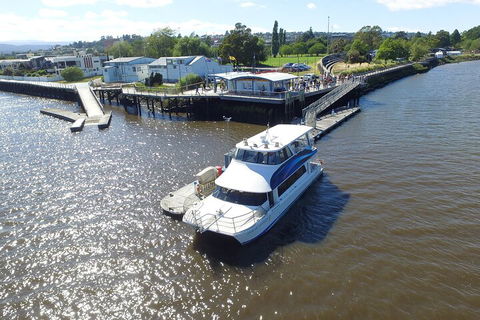 2.5 Hour Morning Discovery Cruise Including Sailing Into The Cataract Gorge - Rental Cars 3