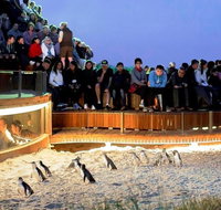 Great Ocean Road  Phillip Island - 3 Days 2 Nights - Rental Cars