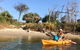 1-Hour Single Or Double Kayak Hire On Golden Beach, Caloundra - thumb 4