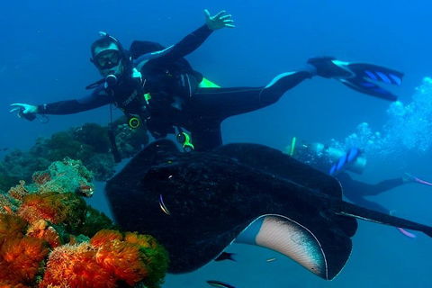 Scuba Dive The S.S. Yongala Wreck On The Great Barrier Reef. - Rental Cars 0