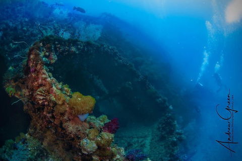 Scuba Dive The S.S. Yongala Wreck On The Great Barrier Reef. - Rental Cars 3